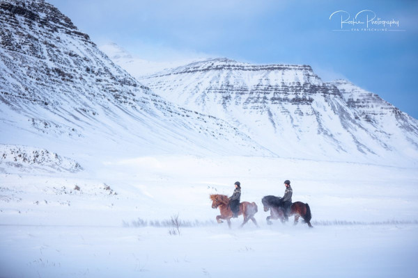 04 dt saddlery Reitbilder Lilli & Bjarki-3