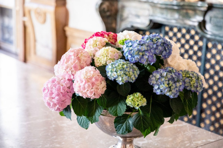 Hochzeit Alexandra & Dominik-6