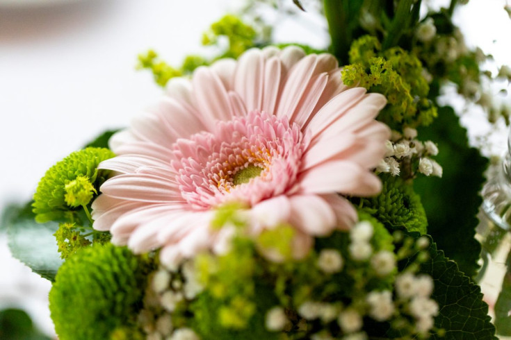 Hochzeit Daniela & Florian-28