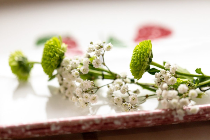 Hochzeit Daniela & Florian-3