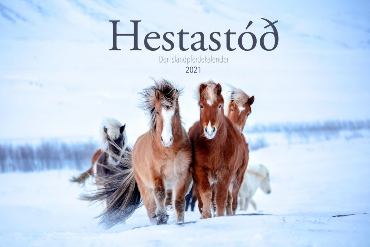 Hestastod2021-0