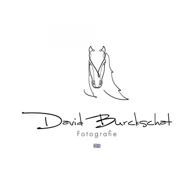 David Burckschat Logo