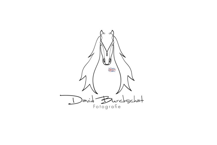 David Burckschat Logo V1.4