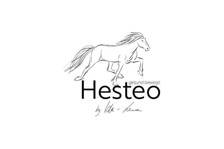 Hesteo Logo