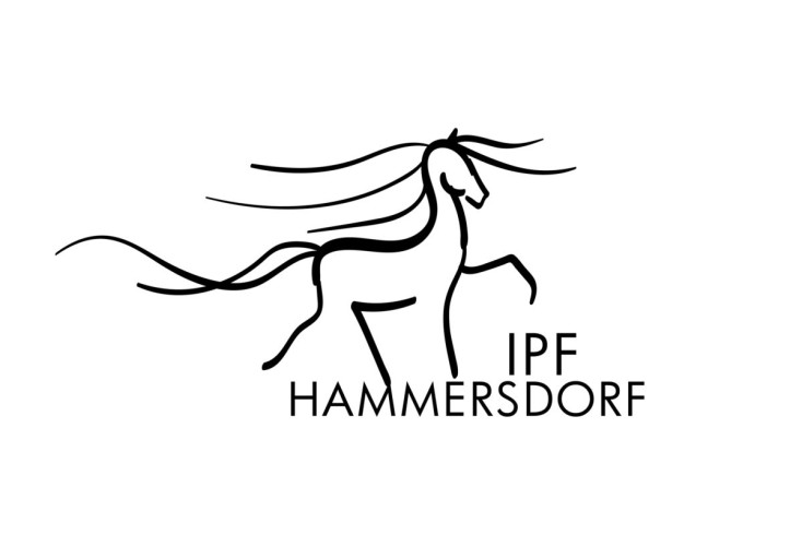 IPF Hammersdorf Scribble 1
