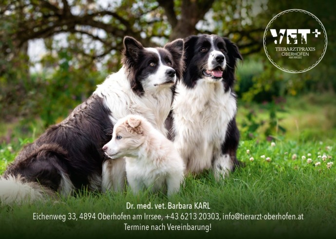 Tierarzt Oberhofen Postkarten Impfen 20212