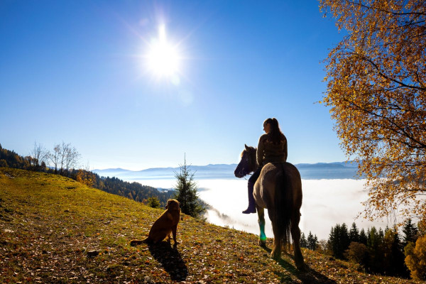 Kirchnerhof Herbst 2021-4