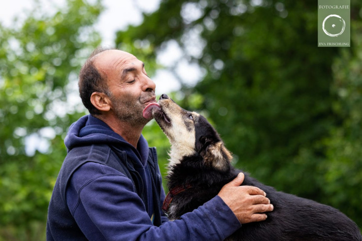 Pfotenhilfe Hunde 2021-17