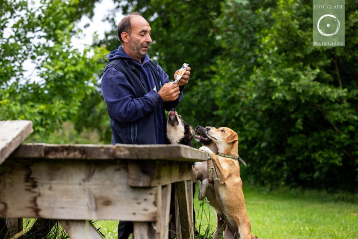 Pfotenhilfe Hunde 2021-24