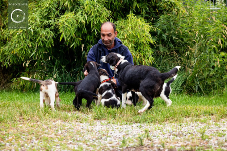 Pfotenhilfe Hunde 2021-36