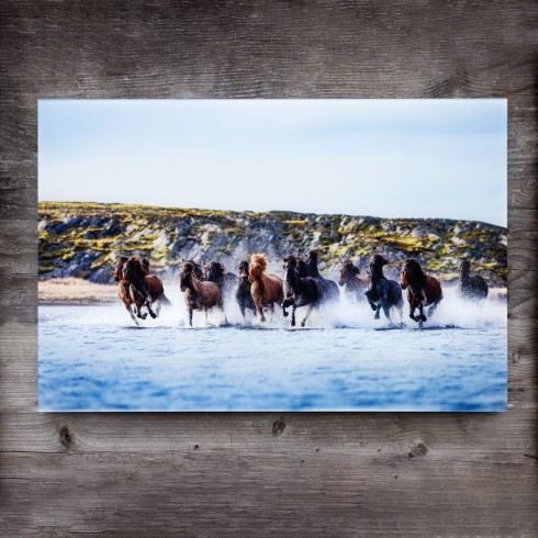 Wandbild Acryl 0420 50x75 Pferd 101 Herde im Wasser 1
