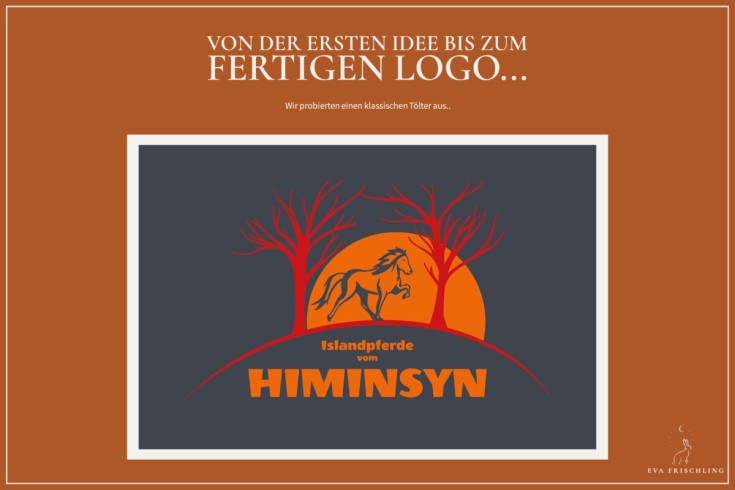 Logo - Himinsyn-12