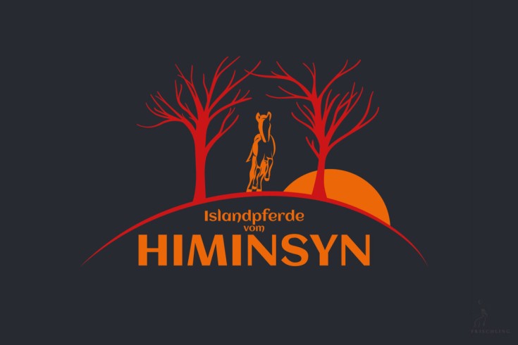 Logo - Himinsyn-9