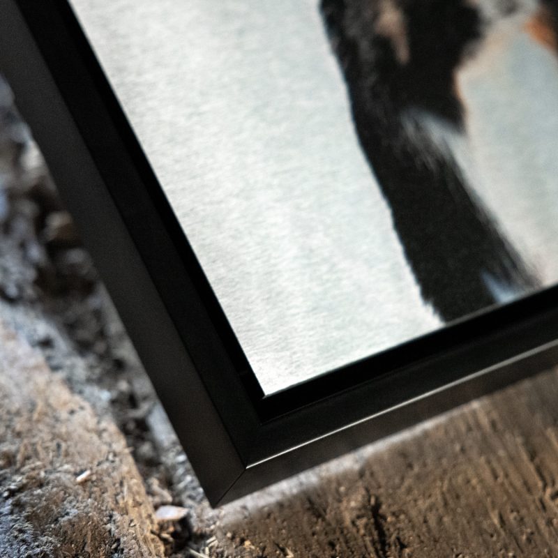 Alu Dibond Butlerfinish im Schattenfugenrahmen – Bild 2
