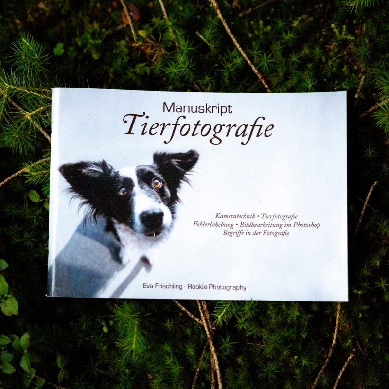 Manuskript Tierfotografie